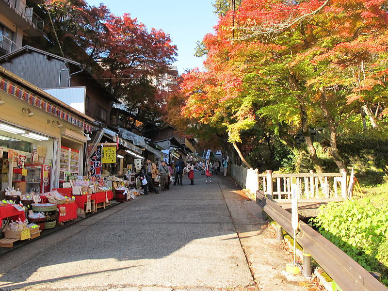 奈良県-談山神社の紅葉