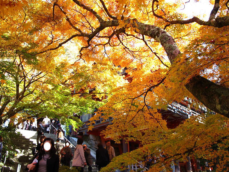 奈良県-談山神社