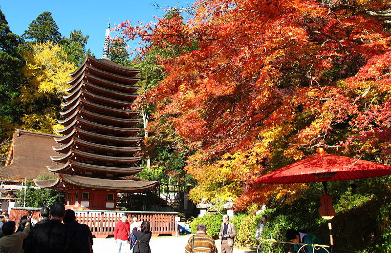 談山神社-木造十三重の塔と紅葉
