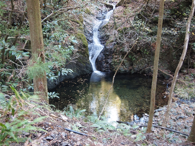 鎌滝　6ｍ（和歌山県日高川町）の写真画像集