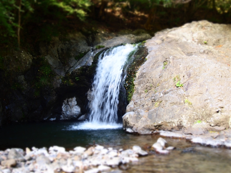 木滝　5ｍ（和歌山県有田郡日高川町）の写真画像集