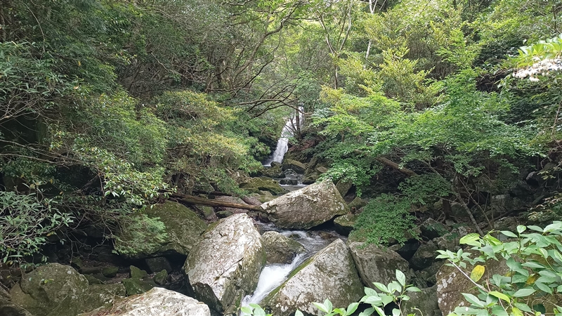 琴の滝 20ｍ（2023年、和歌山県すさみ町）の写真画像集