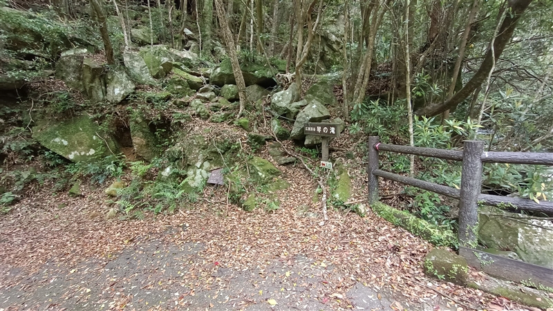 琴の滝 20ｍ（2023年、和歌山県すさみ町）の写真画像集