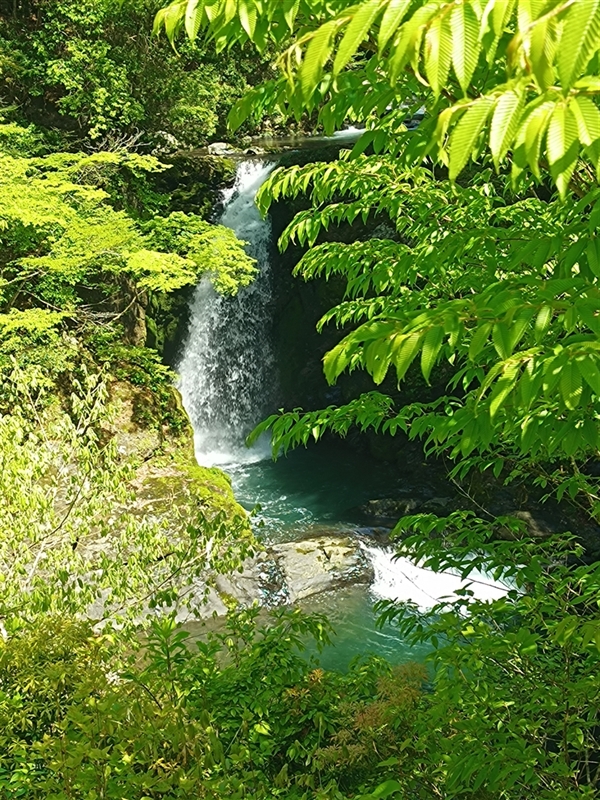 高野大滝　10ｍ（和歌山県伊都郡高野町）の写真画像集