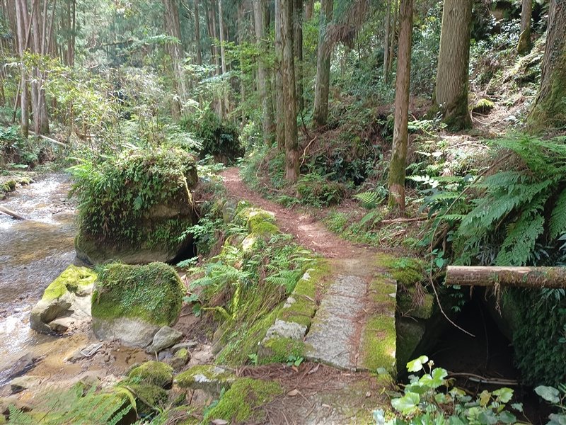 桑の木の滝　21ｍ（和歌山県新宮市）の写真画像集