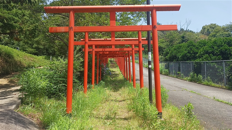 丸高稲荷神社（和歌山県橋本市）の写真画像集