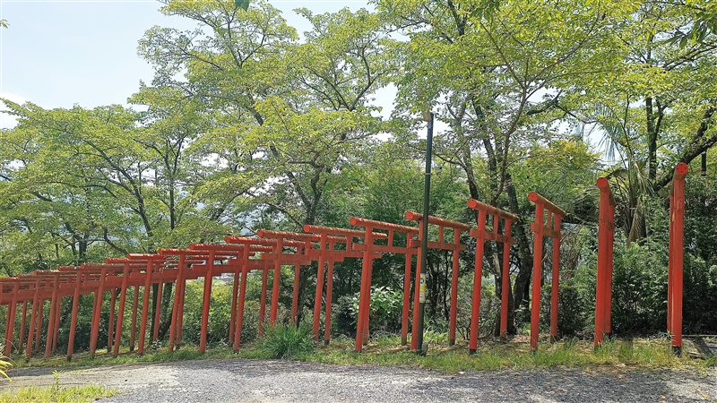 丸高稲荷神社（和歌山県橋本市）の写真画像集