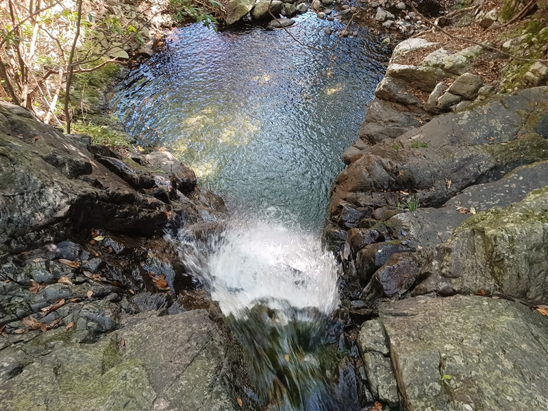 野槌の滝　6ｍ（和歌山県日高川町）の写真画像集