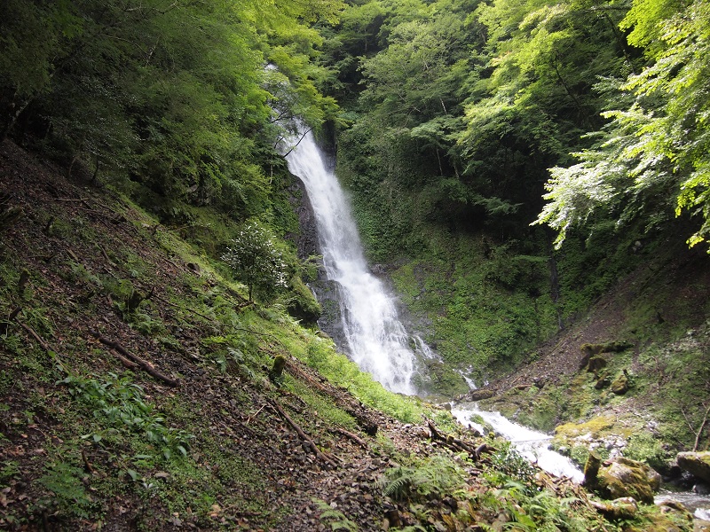 さがり滝　60ｍ（和歌山県有田郡有田川町）の写真画像集