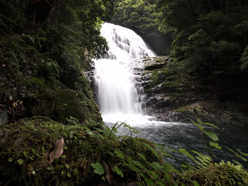 雫の滝 30ｍ（2023年、和歌山県すさみ町）の写真画像集