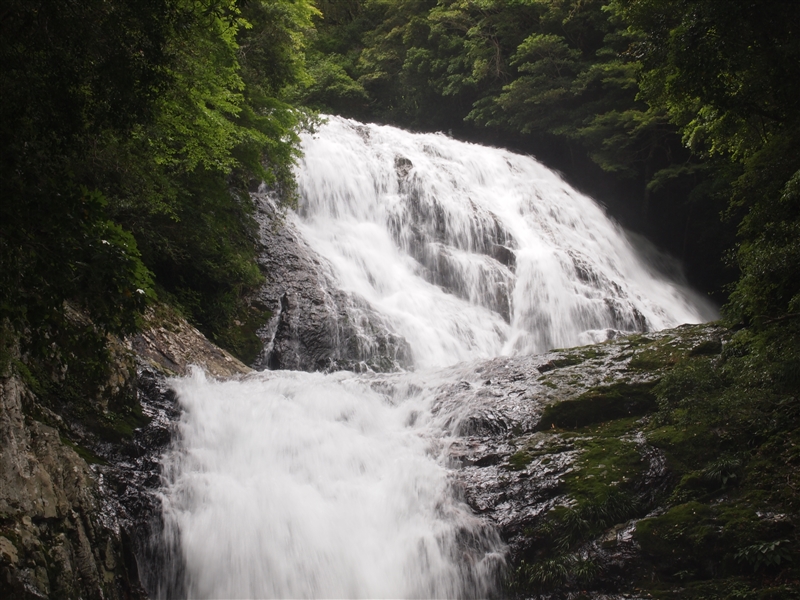 雫の滝 30ｍ（2023年、和歌山県すさみ町）の写真画像集