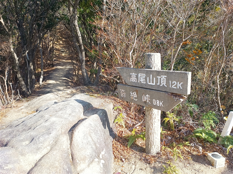 高尾山展望塔（和歌山県）山頂606ｍから見た風景と登山道写真画像