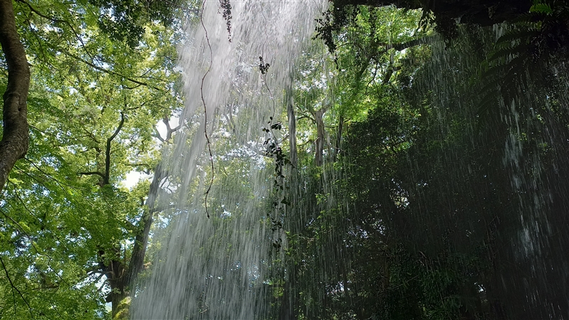 裏見の滝 20ｍ（2023年、和歌山県古座川町）の写真画像集