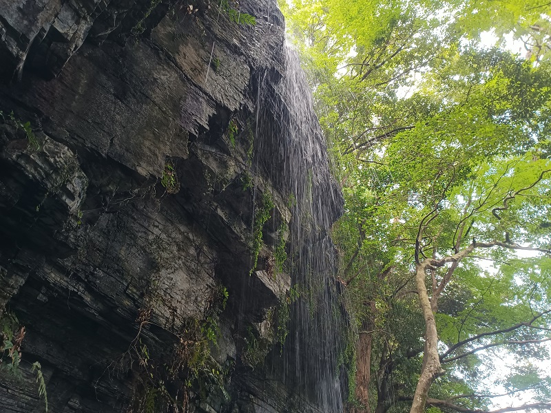 裏見の滝　20ｍ（2022年、和歌山県海南市下津町）の写真画像集